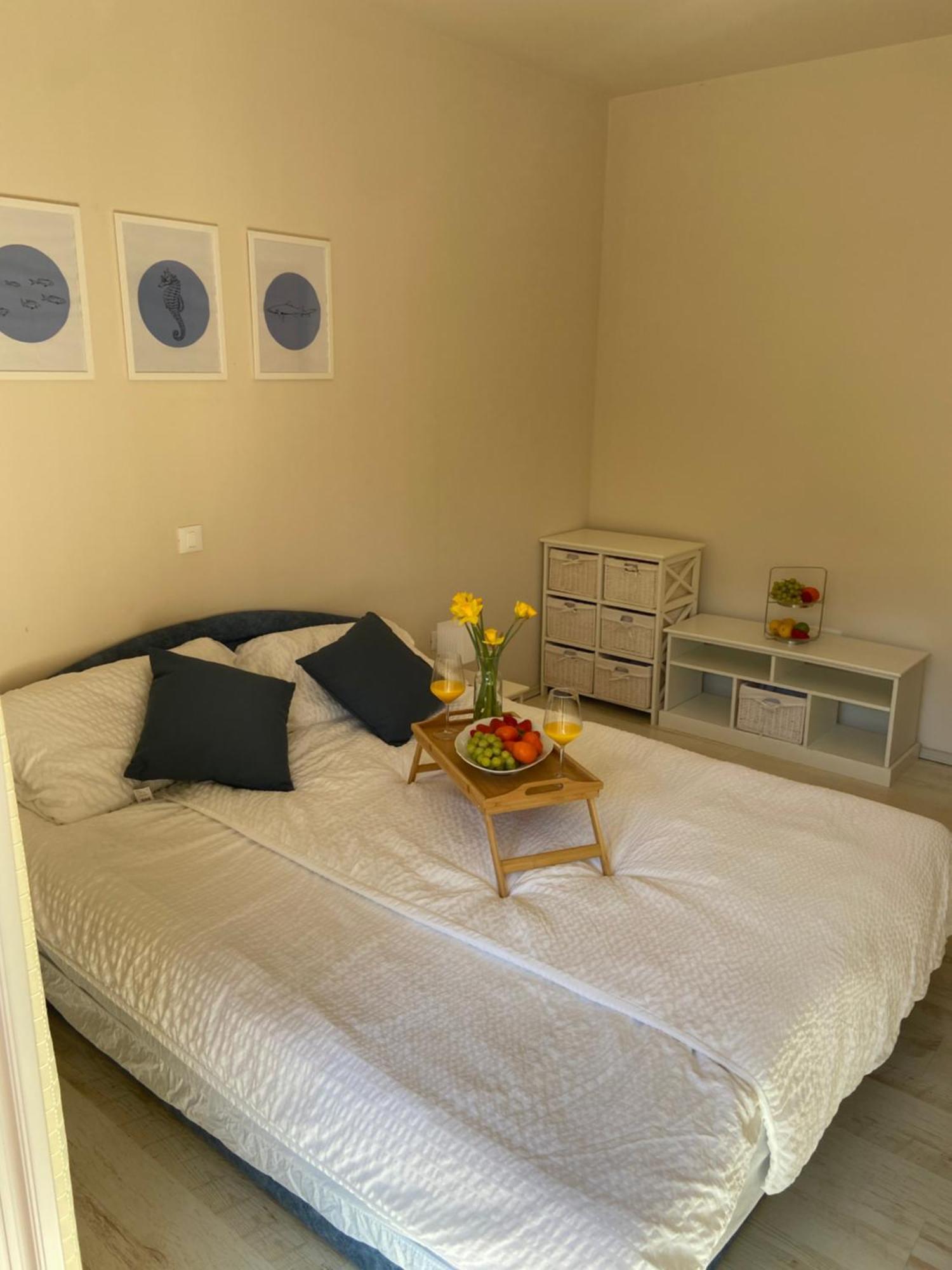 Apartments Eva Savar エクステリア 写真